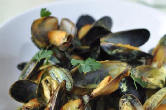 Curry Mussels